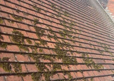 michael fox roofing limited facebook gallery 80